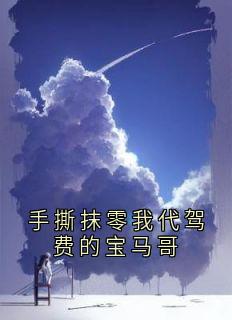 手撕抹零我代驾费的宝马哥