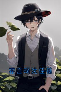 霍言琛沈佳薇