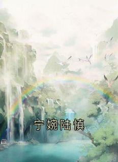宁婉陆慎