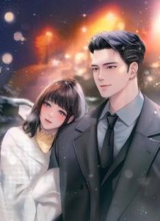 未婚夫秘书抢我头等舱，我直接退婚