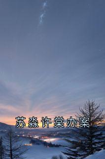 苏淼许棠办案