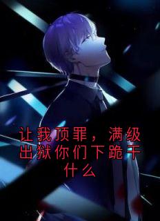 让我顶罪，满级出狱你们下跪干什么