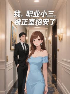 我，职业小三，被正室招安了