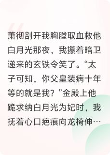 锦杀：重生后我掀了太子白月光