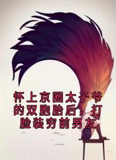 怀上京圈太子爷的双胞胎后，打脸装穷前男友