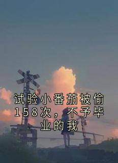试验小番茄被偷158次，不予毕业的我