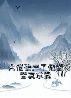 大佬破产了他苦苦哀求我