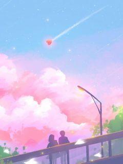 妻子拿我救命钱买初恋摸脸杀