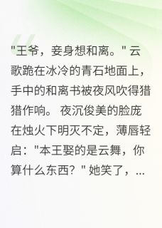 王爷的心尖替身