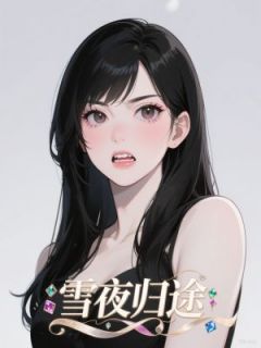 雪夜归途