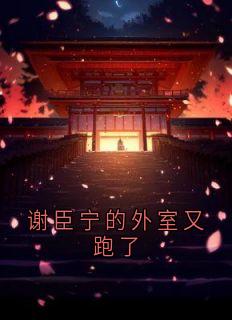 谢臣宁的外室又跑了