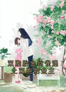 双胞胎金丝雀遇上双胞胎金主