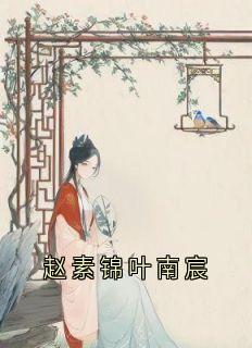 赵素锦叶南宸