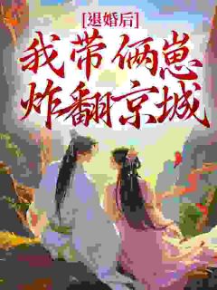 退婚后，我带俩崽炸翻京城​​