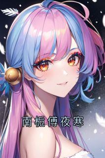 南栀傅夜寒