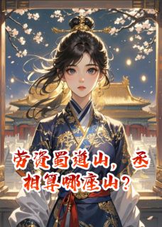 劳资蜀道山，丞相算哪座山？
