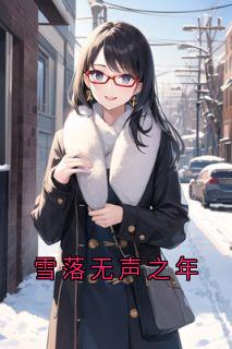 雪落无声之年