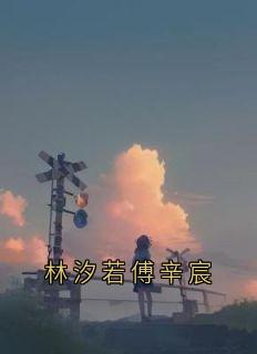 林汐若傅辛宸