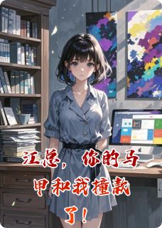 江总，你的马甲和我撞款了！