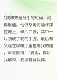 前夫，求你别纠缠