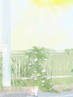 盛夏照晚晴