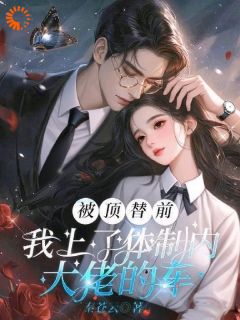 被顶替前，我上了体制内大佬的车