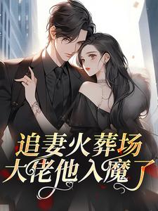追妻火葬场，大佬他入魔了