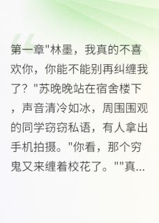 校花倒追三年，重生后我不要了