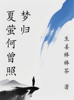 夏萤何曾照梦归