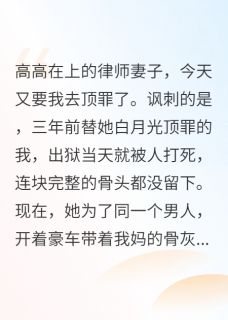 妻子跪求我为情敌顶罪