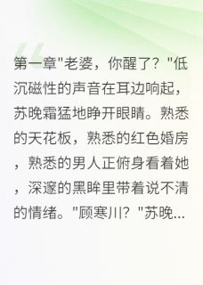 重生新婚夜我让偏执总裁倾家荡产