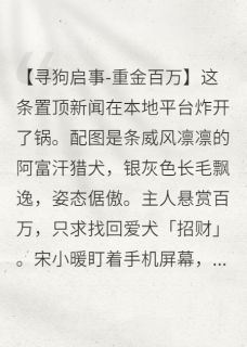 我只是替身