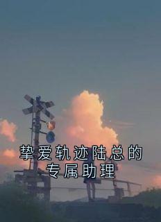 挚爱轨迹陆总的专属助理