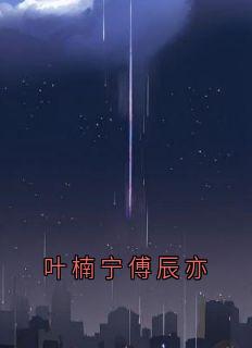 叶楠宁傅辰亦