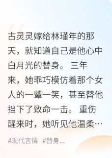 和替身离婚后，他后悔了