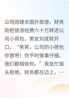 掌管团建的小荷包后，我倒欠50万