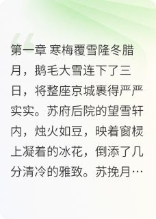 雪刃梅香