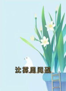 沈雾周闻砚