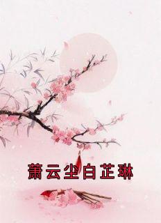 萧云尘白芷琳