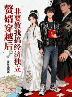 赘婿穿越后，非要教我搞经济独立