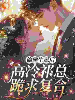 偷偷生崽后，高冷祁总跪求复合