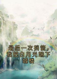 最后一次挡箭，我把白月光踹下城楼