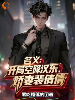 名义：开局空降汉东，娇妻裴倩倩