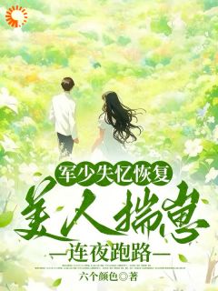 大佬失忆后，我怀了三胞胎跑路