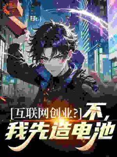 互联网创业？不，我先造电池