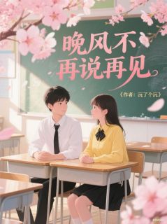 晚风不再说再见