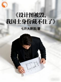 设计图被毁，我国士身份藏不住了