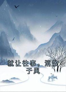 就让往事，消散于风