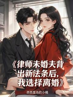 律师未婚夫背出新法条后，我选择离婚