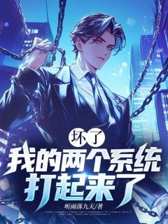 坏了，我的两个系统打起来了